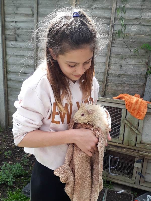 Porridge and Rice on the Whitton High street with a petting zoo to raise money to support schools in the Nairobi slums