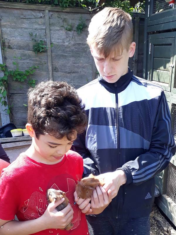 Porridge and Rice on the Whitton High street with a petting zoo to raise money to support schools in the Nairobi slums