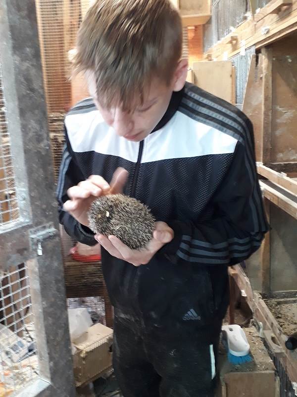 the petting zoo at Trafalgar School Fair to raise money for the charity work in the Nairob slums