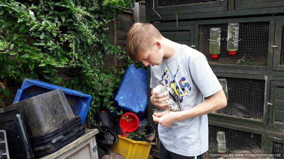 xx