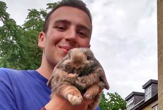 Rabbits
