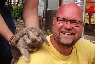 Rabbits
