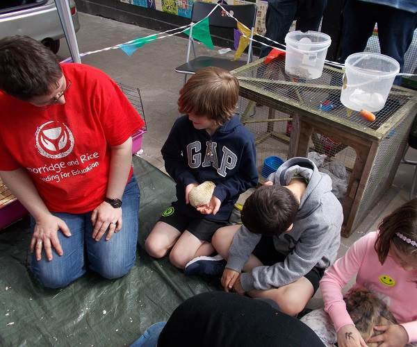 Porridge and Rice on the Whitton High street with a petting zoo to raise money to support schools in the Nairobi slums