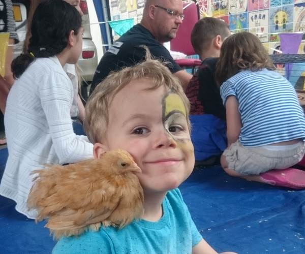 the petting zoo at St Georges Day celebrations with guinea pigs, chickens, hedgehogs and rabbits